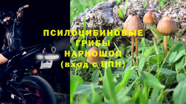 дживик Богданович
