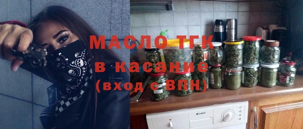 прущий лед Бородино
