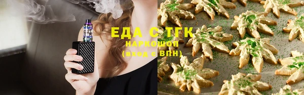прущий лед Бородино