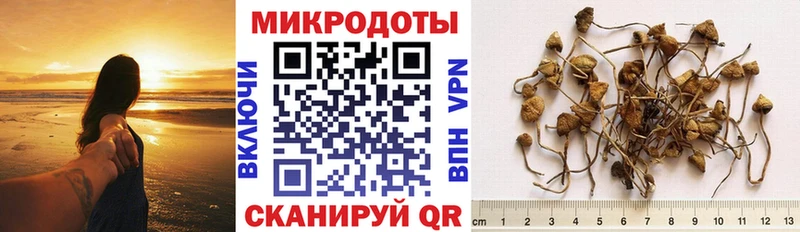 Галлюциногенные грибы прущие грибы  Киренск 